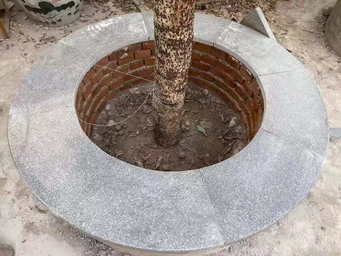 章丘黑圓形樹池石